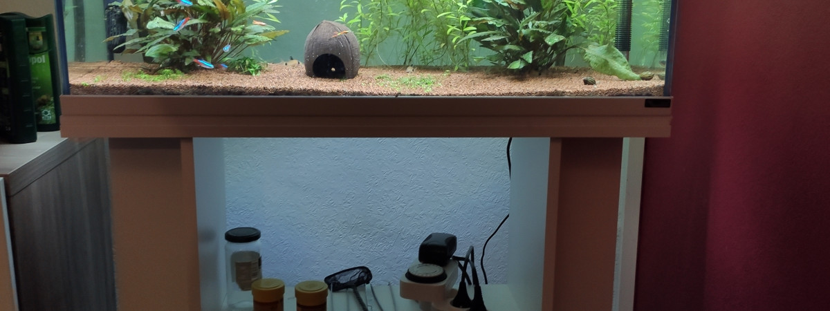 aquarium 1er Aquarium