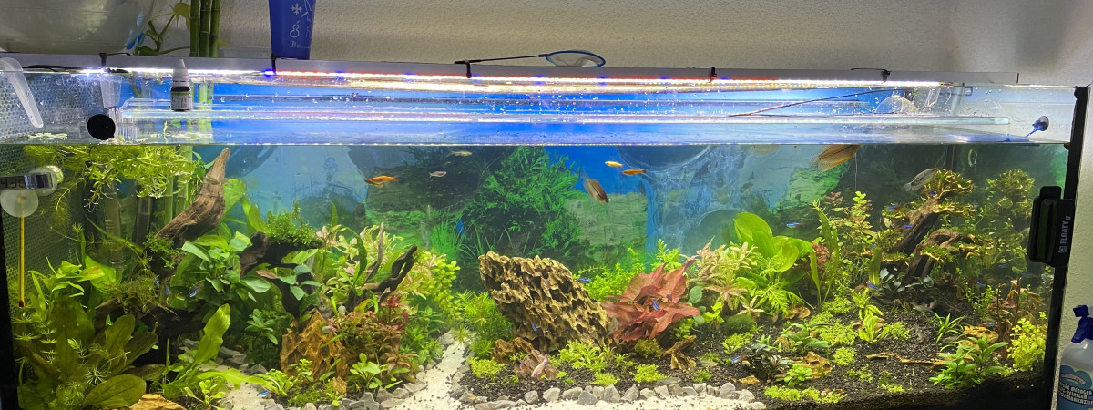 aquarium 380l