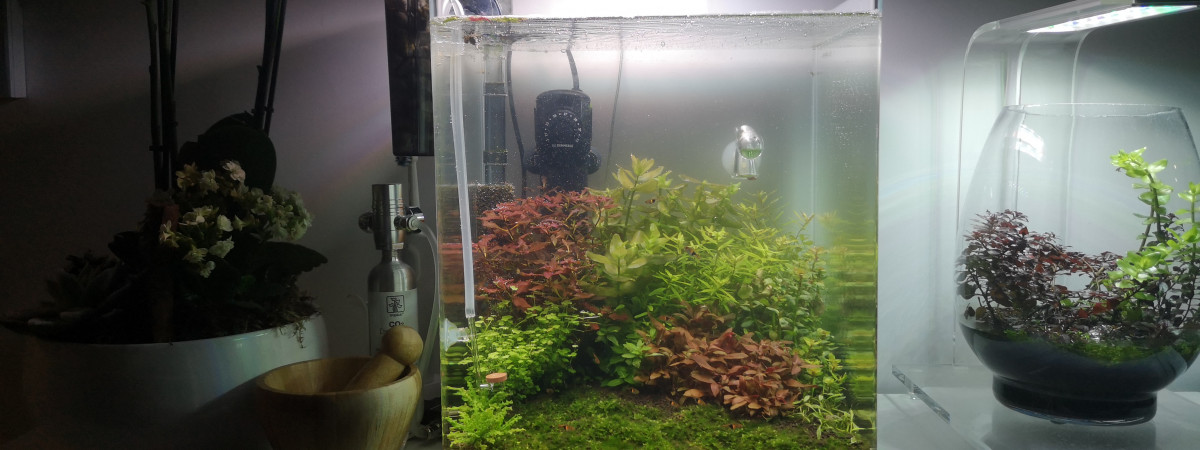aquarium Nano