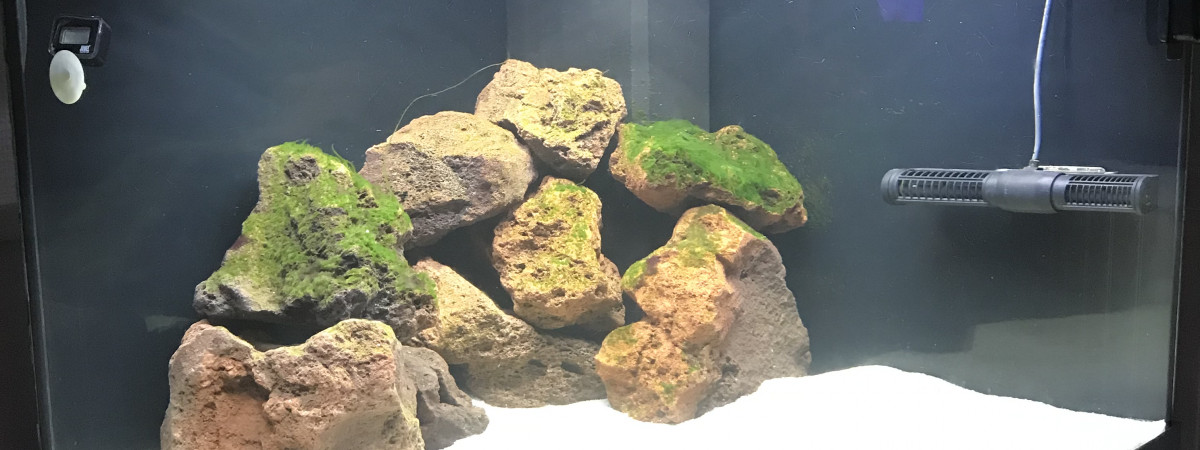 aquarium Juwel trigon 190