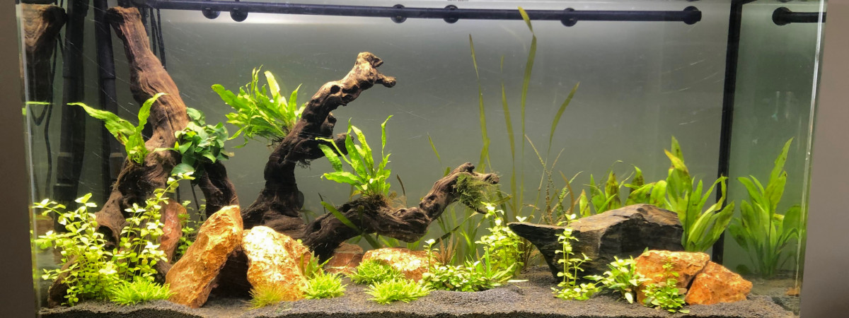 aquarium 350L