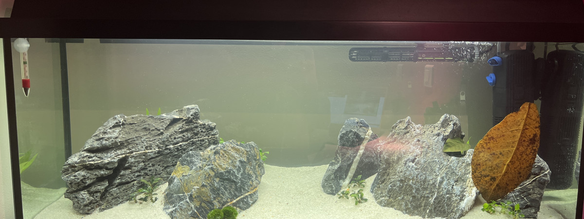 aquarium Bac 120L - Communautaire