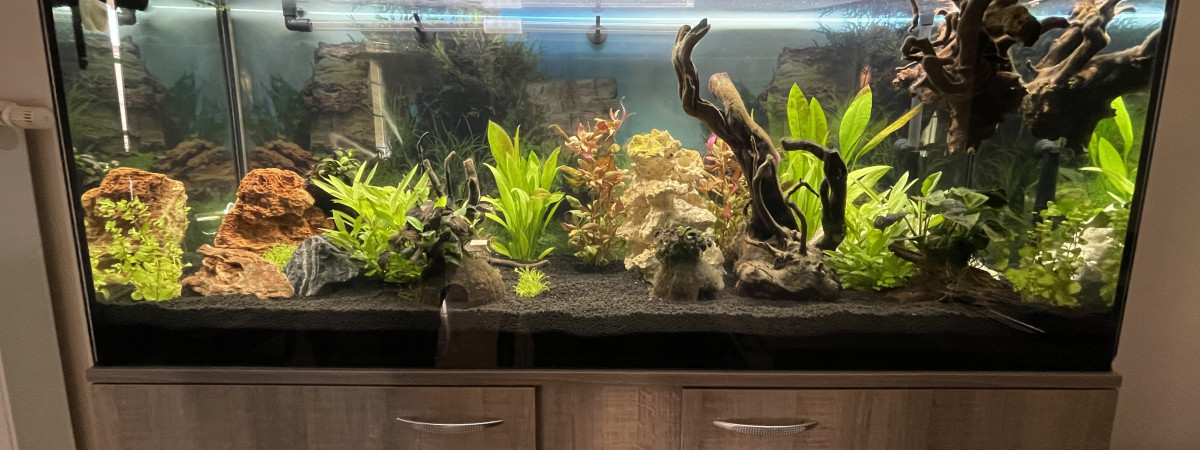 aquarium EHEIM VIVALINE 240L