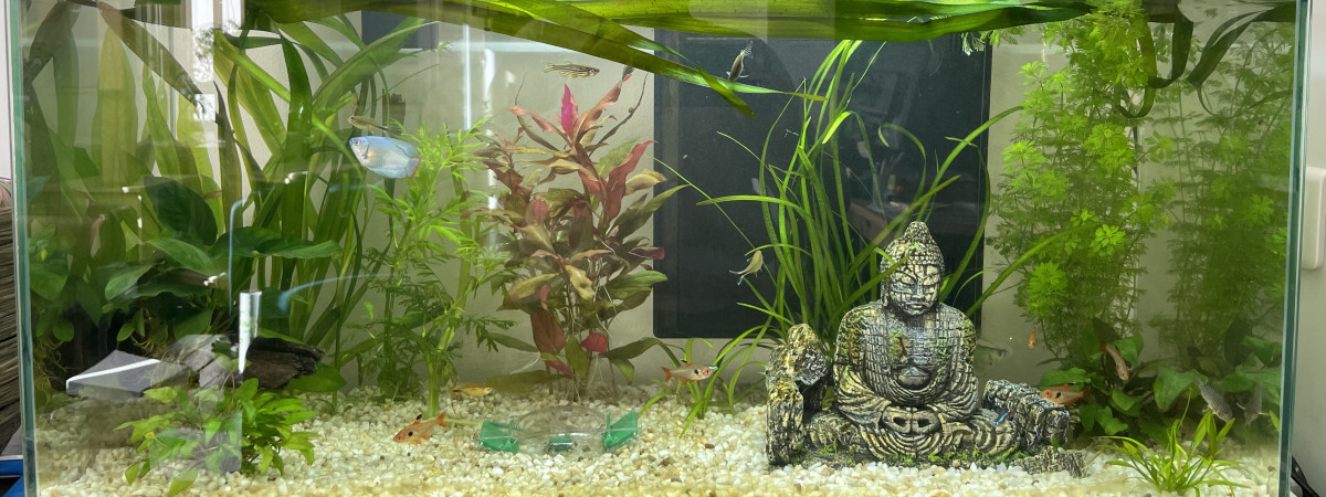 aquarium Christophe