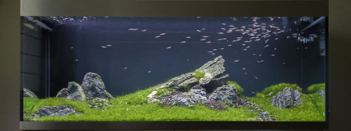 aquarium Oase highline 400