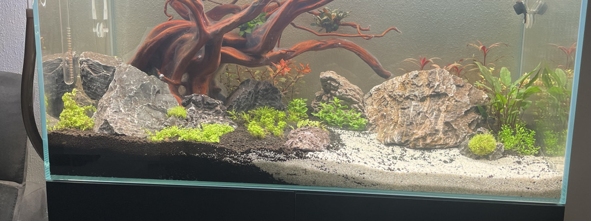 aquarium Léa