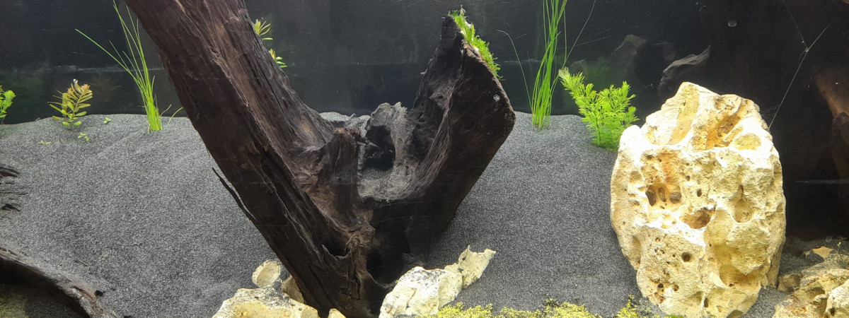 aquarium 600L