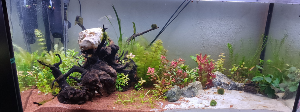 aquarium 360L