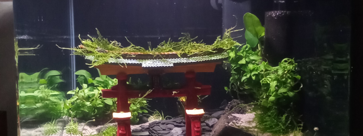 aquarium Nano