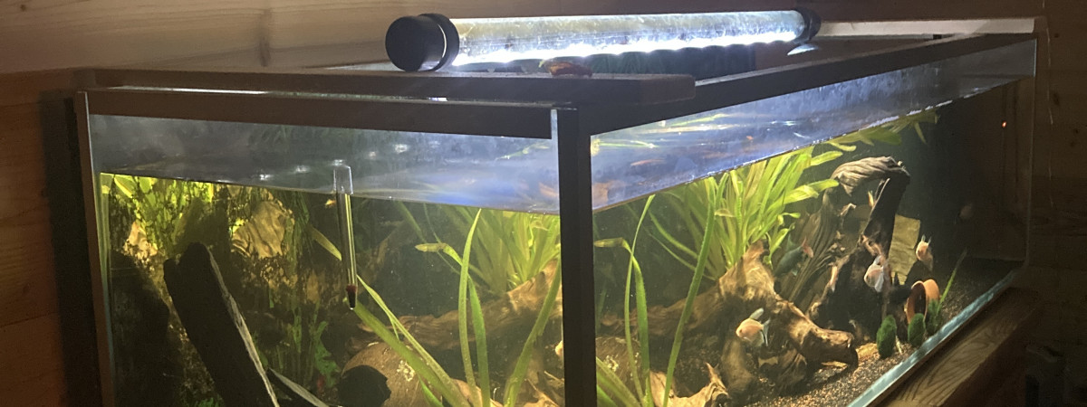 aquarium Aqua59