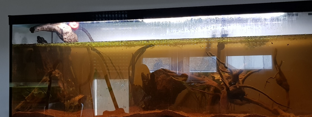 aquarium Aquarium