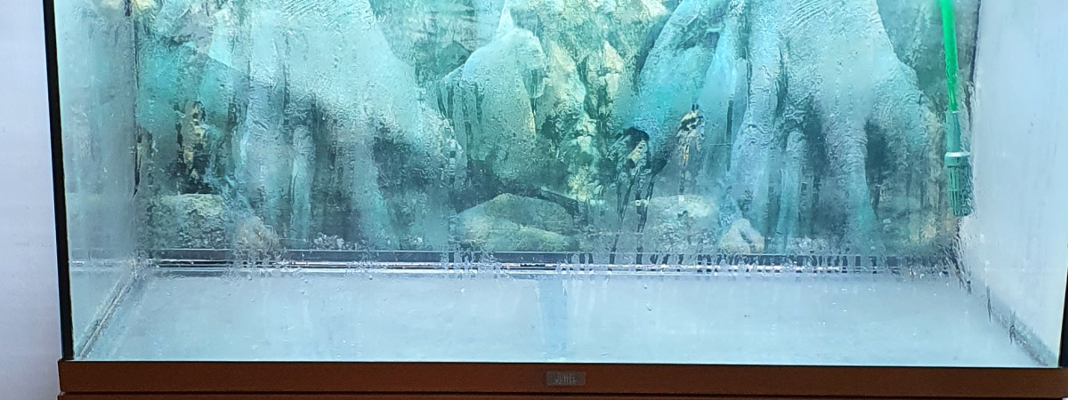 aquarium Coordonné