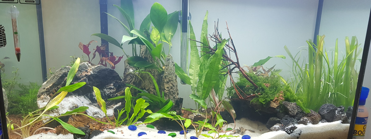 aquarium Fluval 29 gallons ou 116 litres Brut