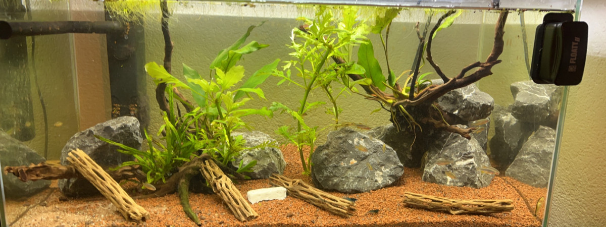 aquarium Aquarium GALAXY