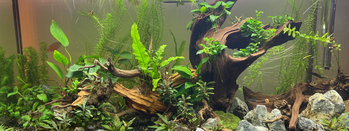 aquarium Le grand