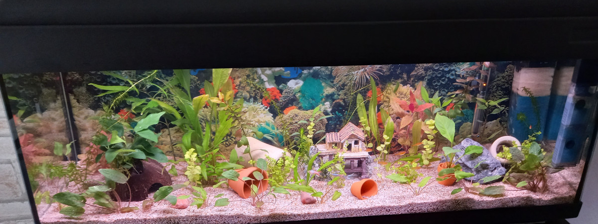aquarium Seb288