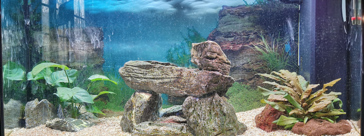 aquarium Juwel