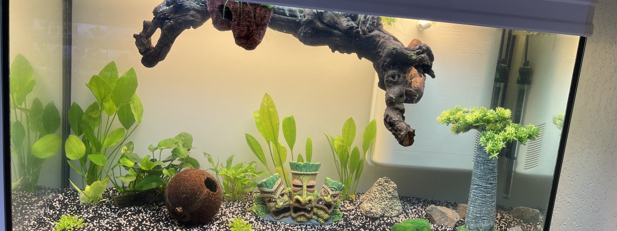 aquarium Grand