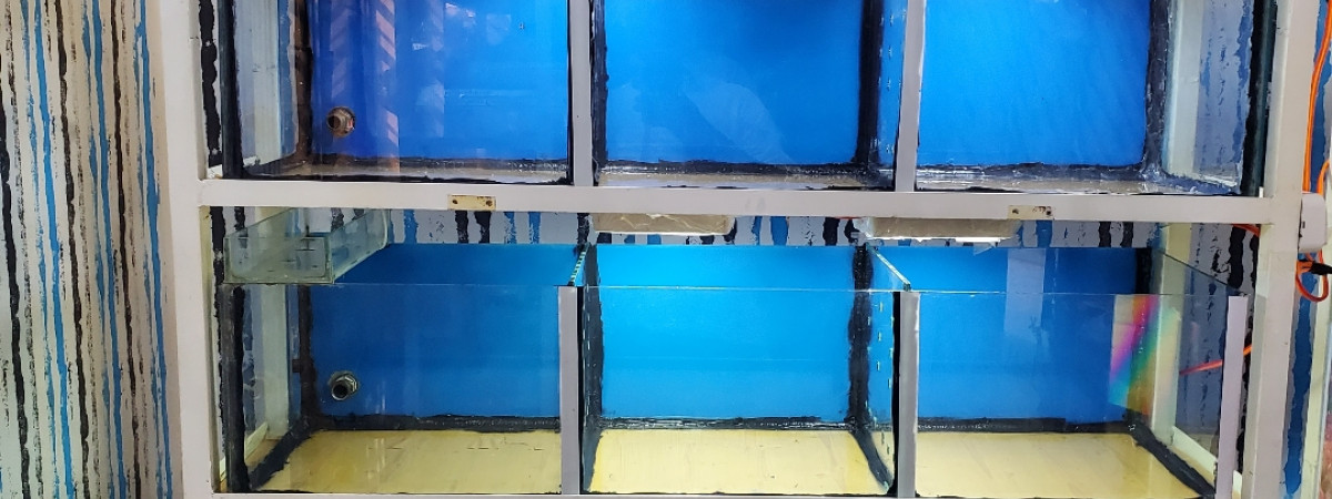 aquarium Rack aquarium shop