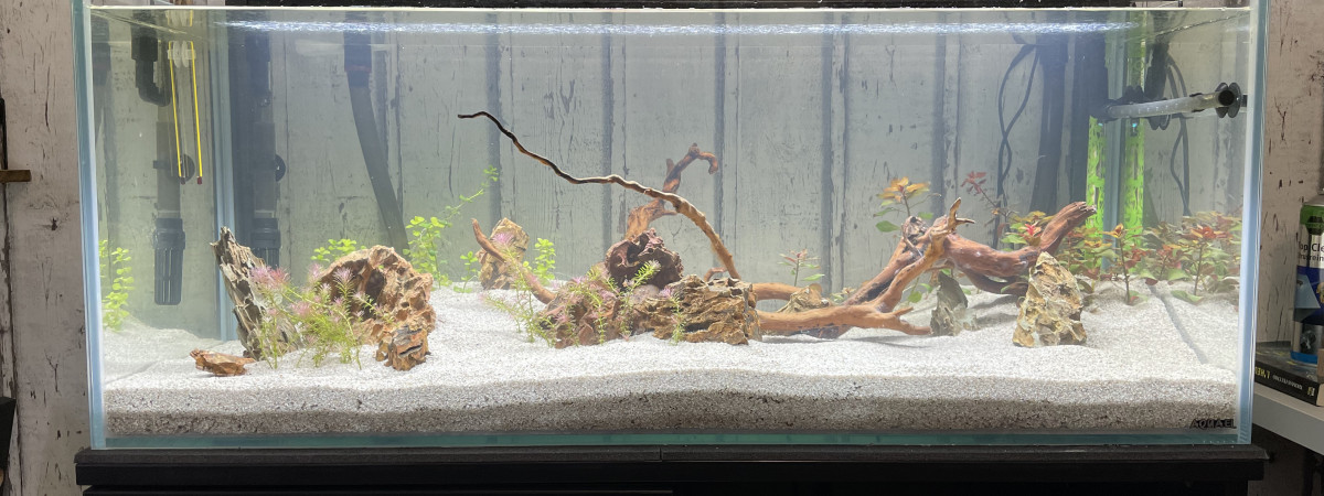 aquarium Premier bac