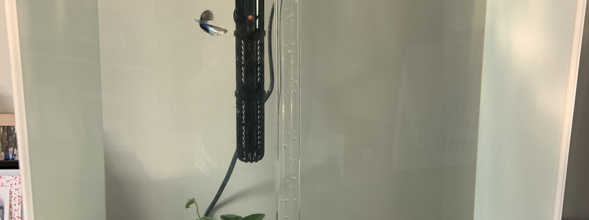 aquarium Biorb
