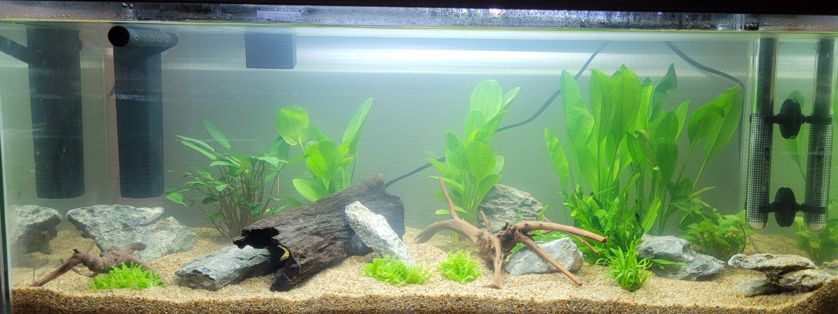 aquarium Aquapolis