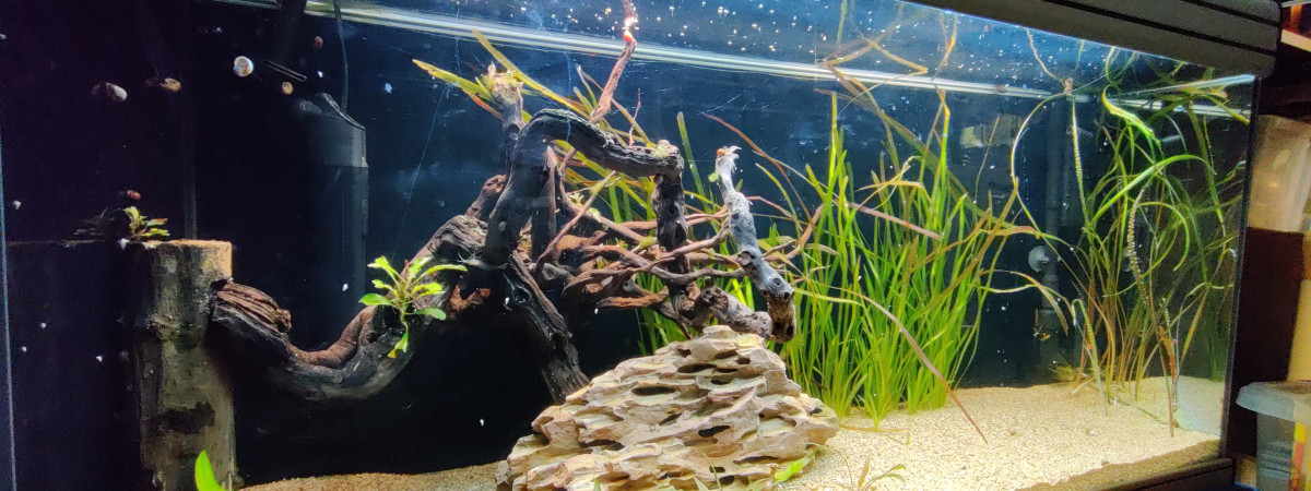aquarium Le tant désiré xD