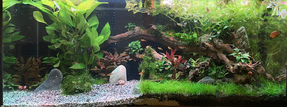 aquarium HERVE