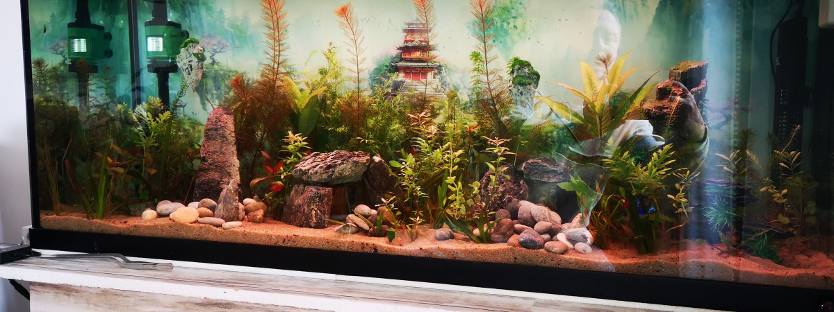 aquarium oryke