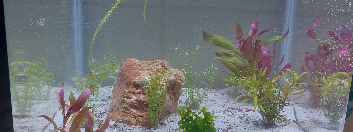 aquarium Aquatest sol maison