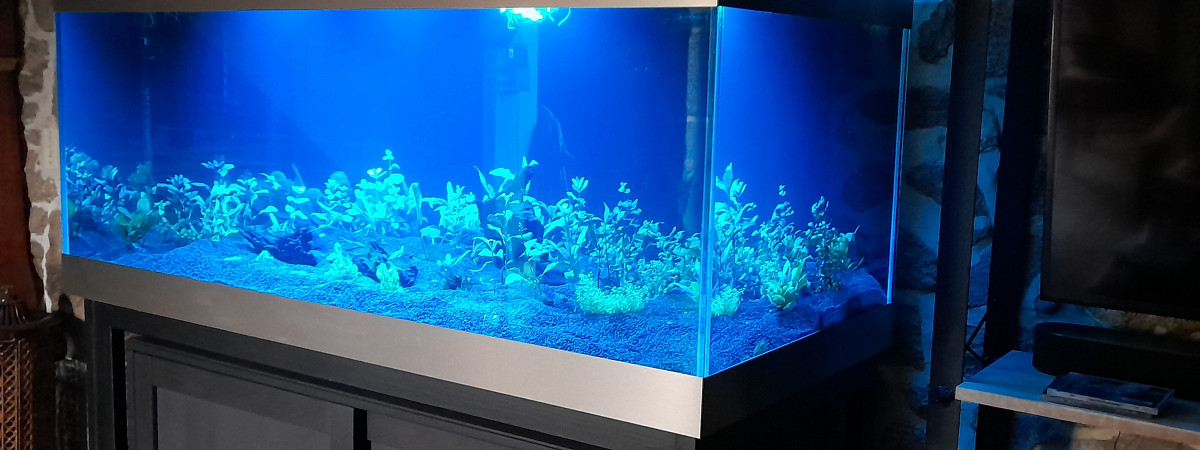 aquarium Aquaholl