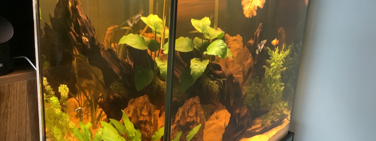 aquarium Yannik 74