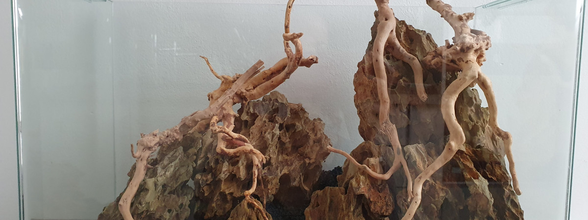 aquarium Blue velvet