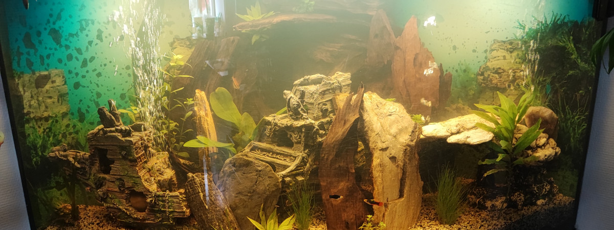 aquarium Englouti
