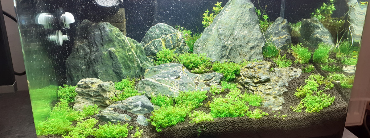 aquarium Iwagumi Scapers 35L