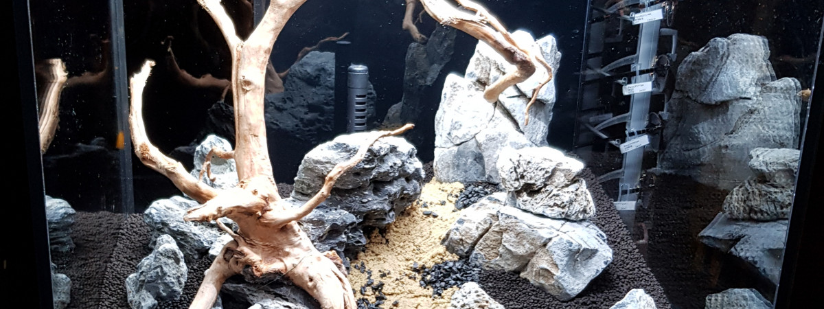 aquarium Nature OM