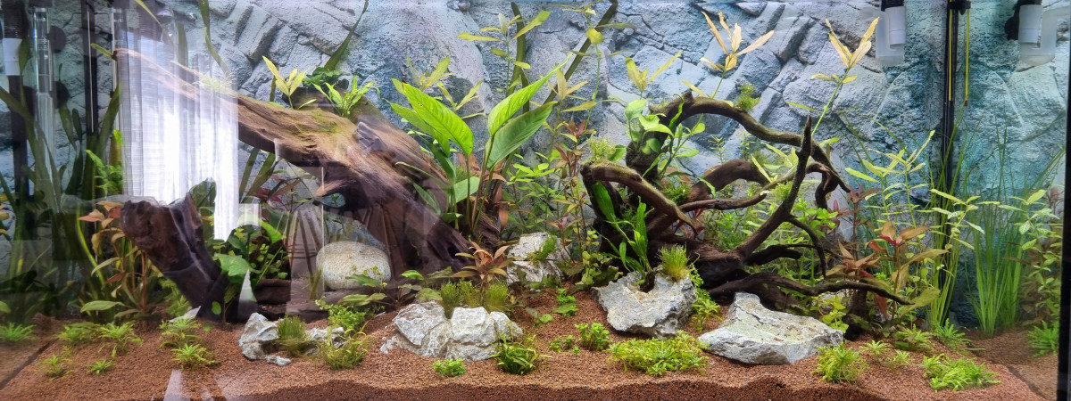 aquarium Mon aqua
