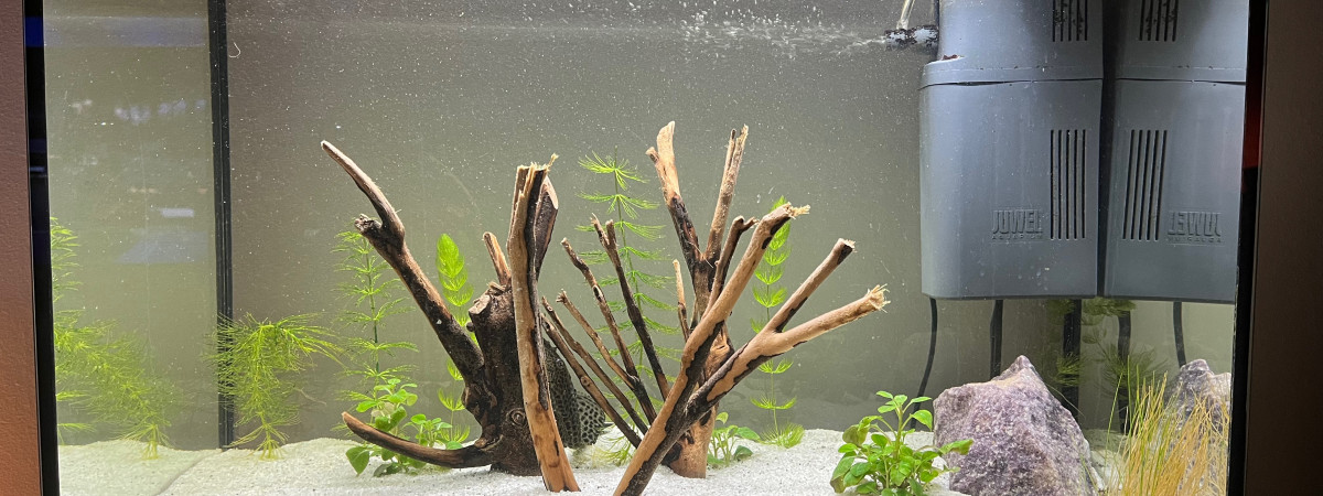 aquarium Aqua 70L