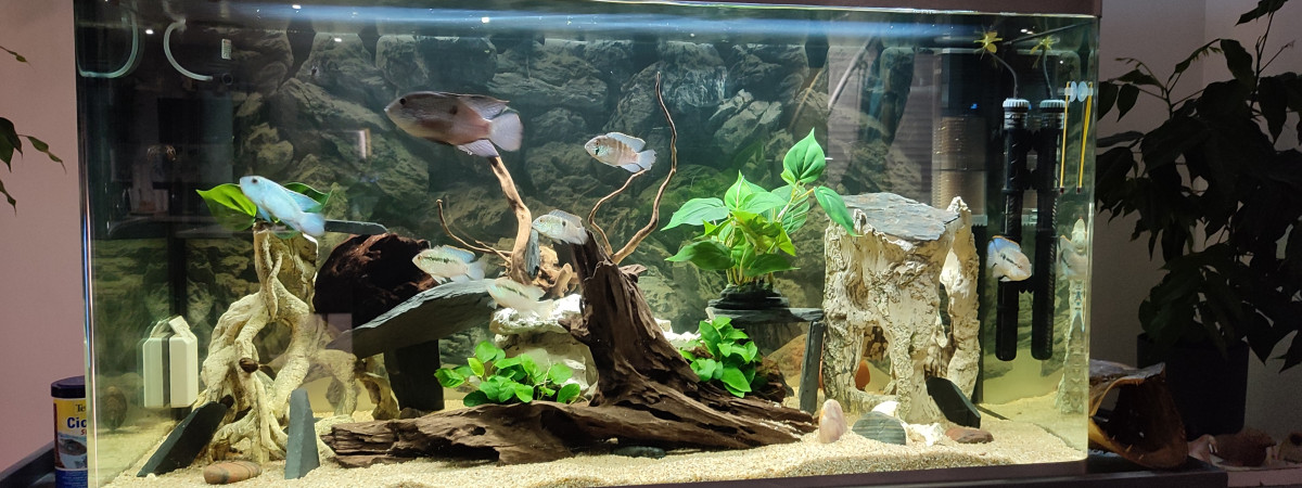 aquarium Osaka 320 Litres