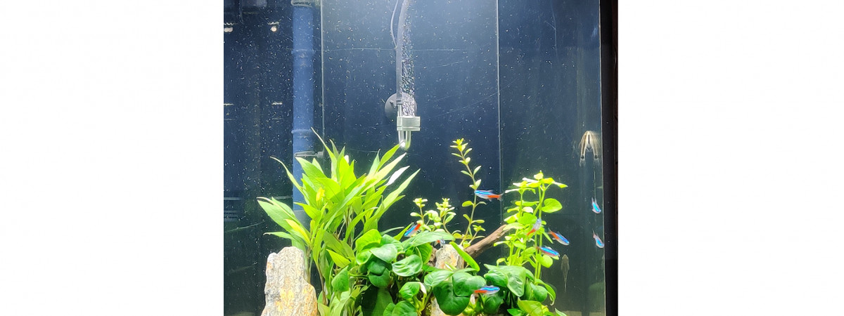 aquarium aqua tower 96