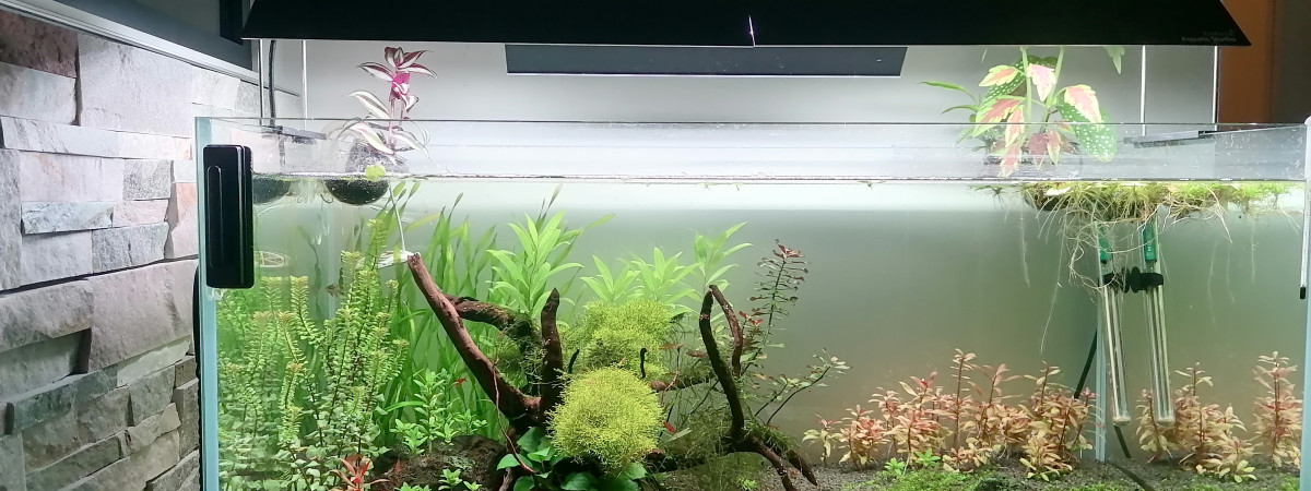 aquarium Eheim Cleartank 200l