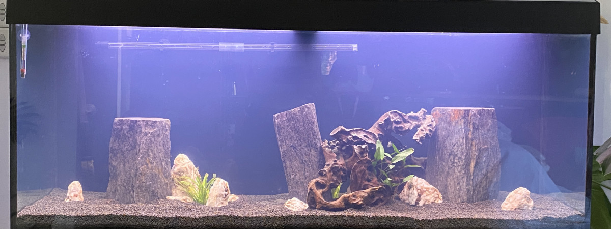 aquarium Aquarium 240L