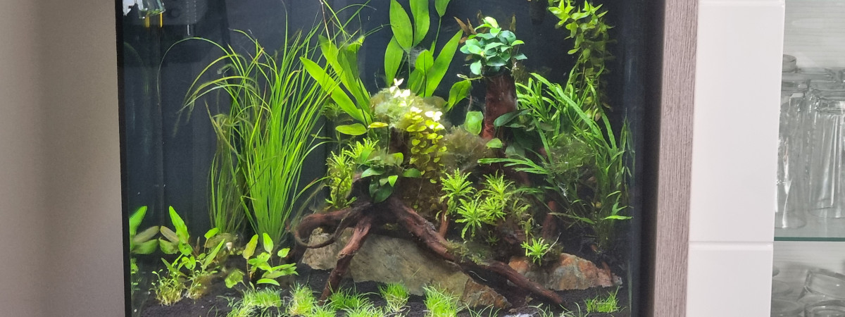 aquarium Aqua 130l