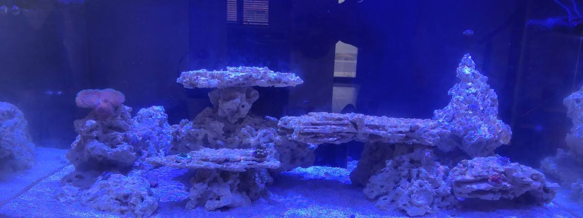 aquarium Waterbox