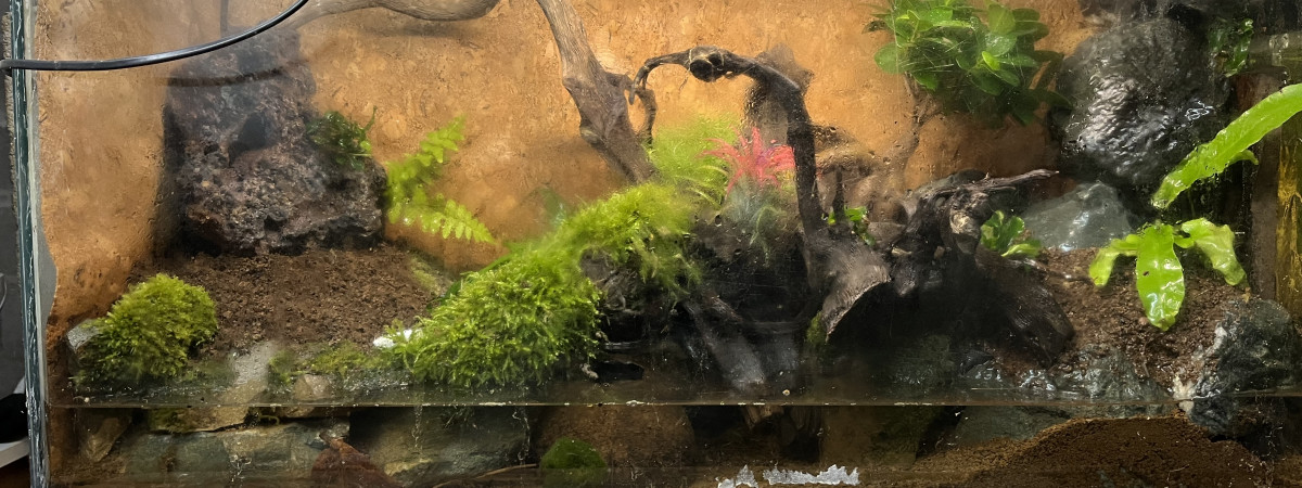 aquarium PALUDARIUM