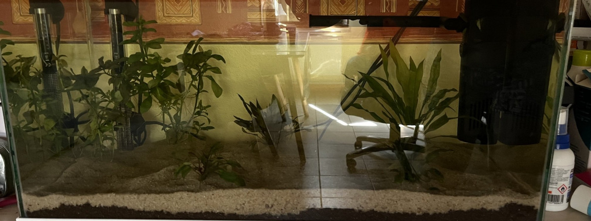 aquarium Ciano 60L - En Conditionnement