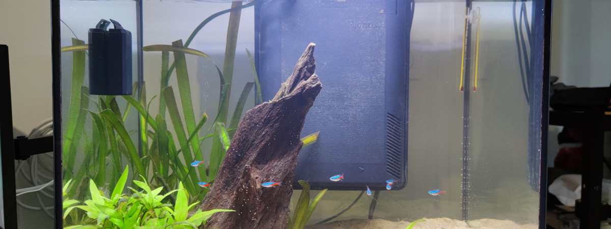 aquarium Aqua City