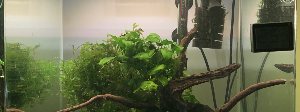 aquarium Nano Aquarium 60