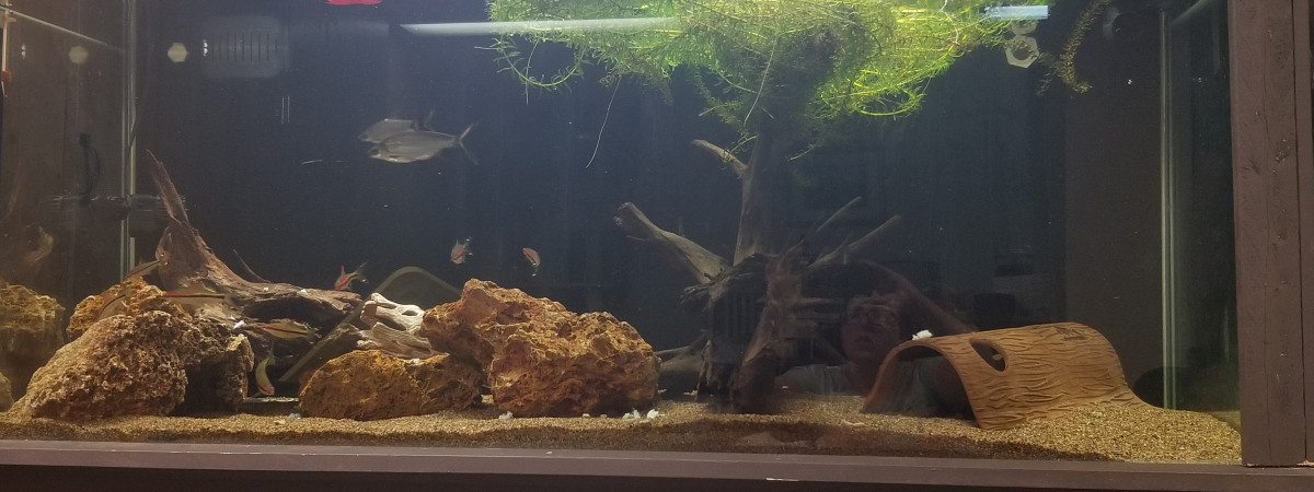 aquarium La cent-cinquante