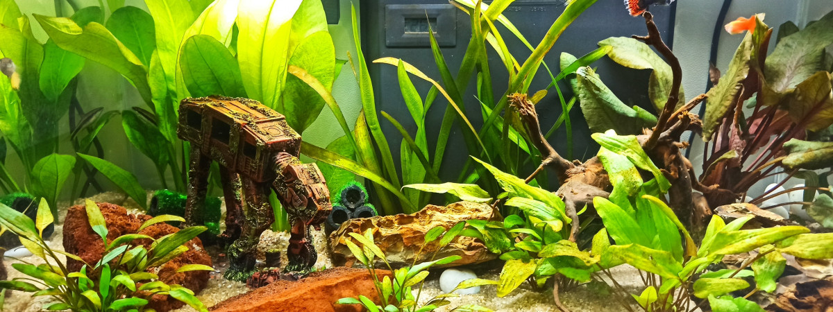 aquarium AQUARIUM